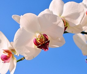 惠州正规助孕捐卵机构，附正规捐卵机构报名表！